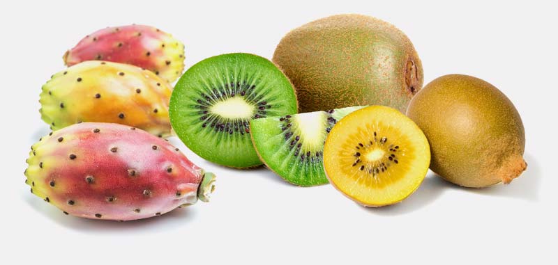 La logistica della frutta Princy, il quality made by Eurofrut