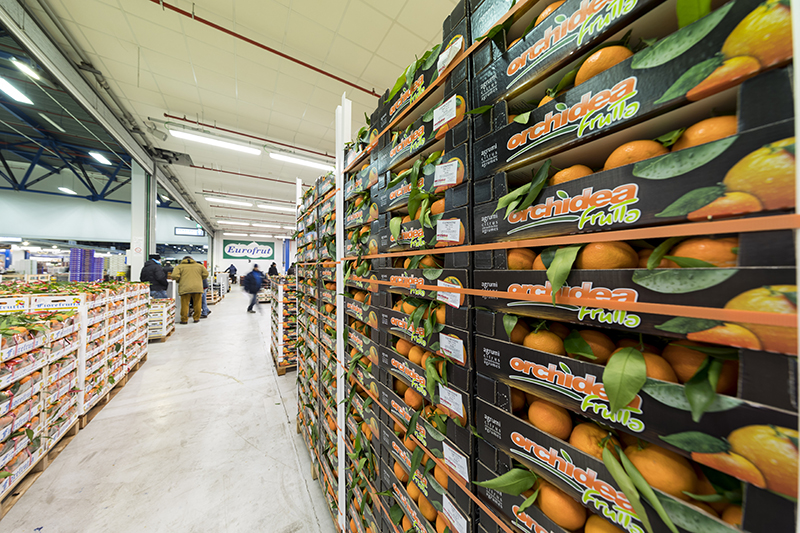 Eurofrut-1W