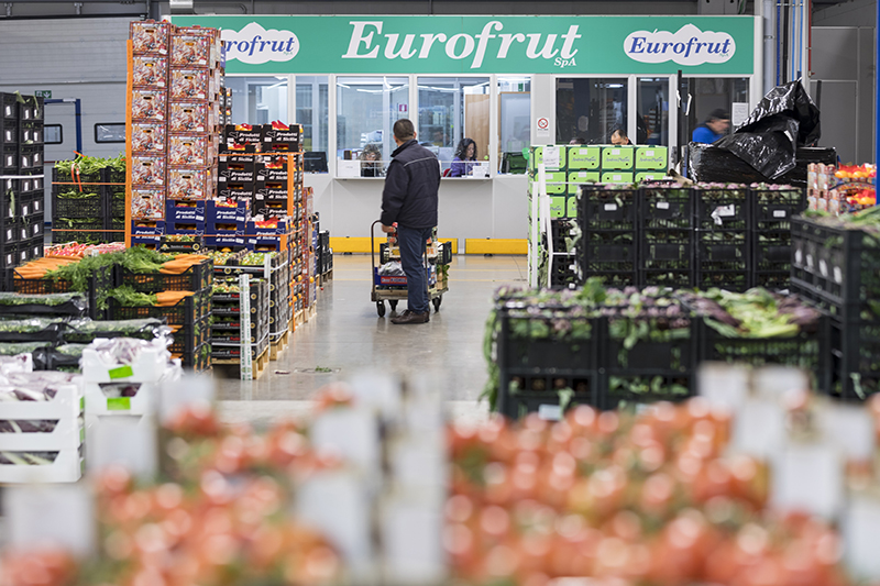 Eurofrut-46W