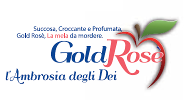Golden Rose