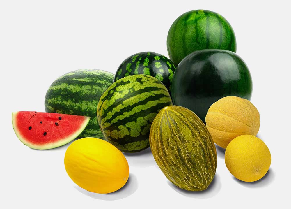 i contatti Princy, il quality made by Eurofrut